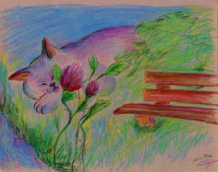 Cats of Binzwagen - 25