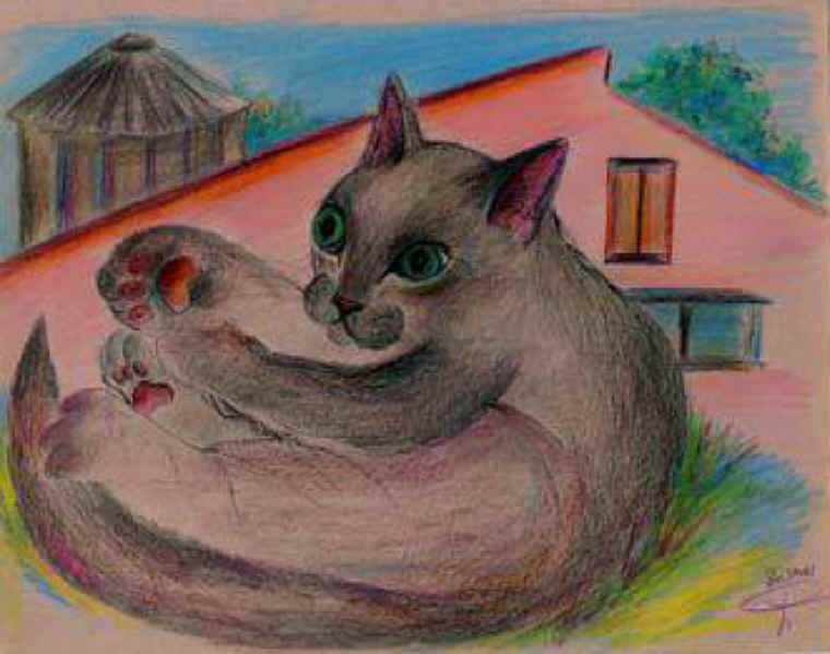 Cats of Binzwagen - 27