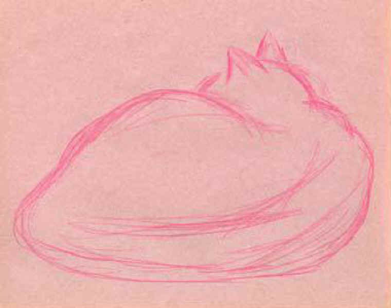 Cats of Binzwagen - 28