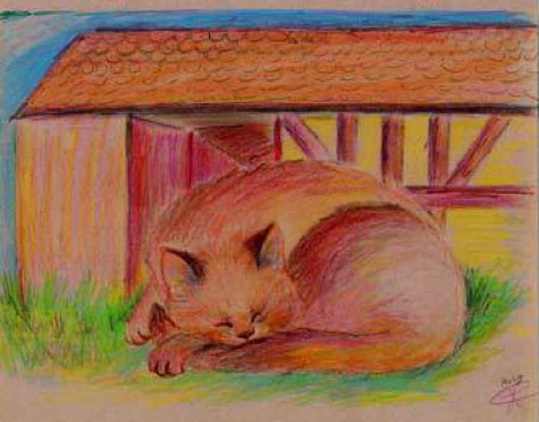 Cats of Binzwagen - 29