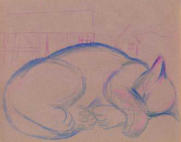 Cats of Binzwagen - 30