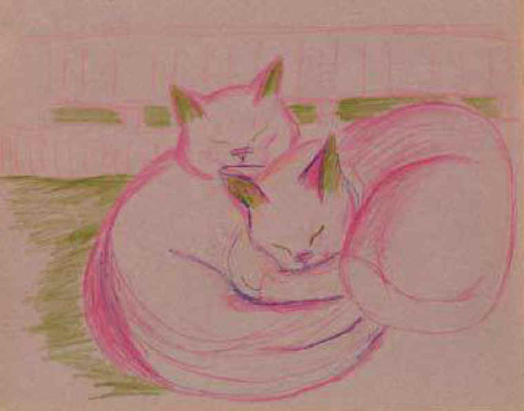 Cats of Binzwagen - 31