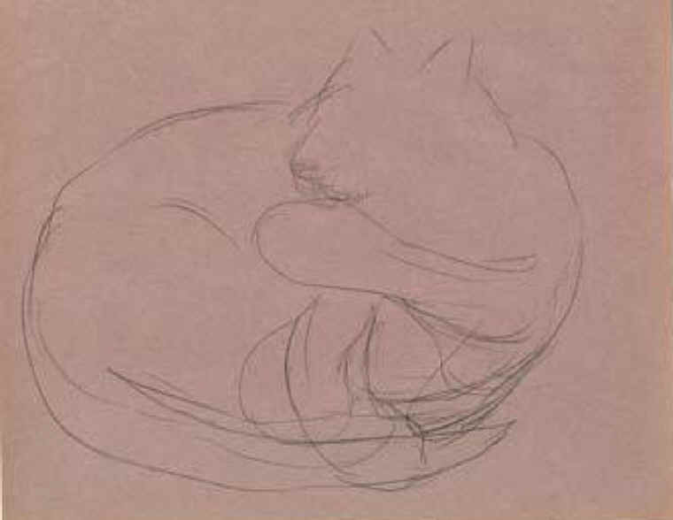 Cats of Binzwagen - 33