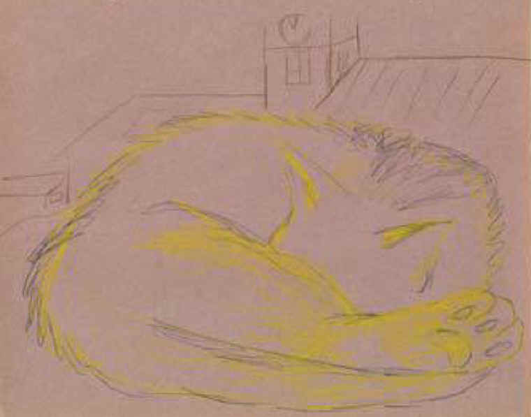 Cats of Binzwagen - 34