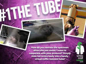 terrifying tortures vivisection