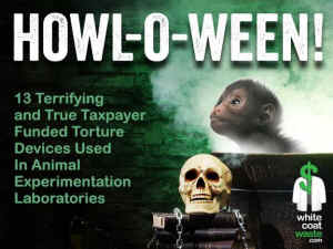 terrifying tortures vivisection