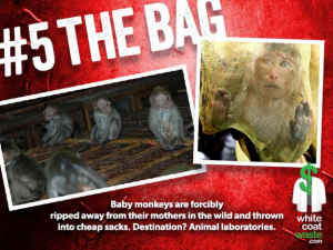 terrifying tortures vivisection