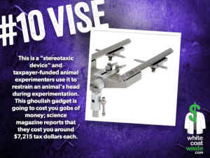 terrifying tortures vivisection