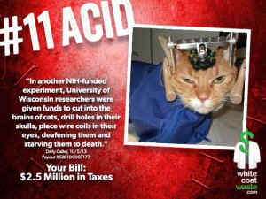 terrifying tortures vivisection