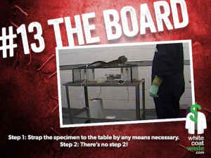 terrifying tortures vivisection