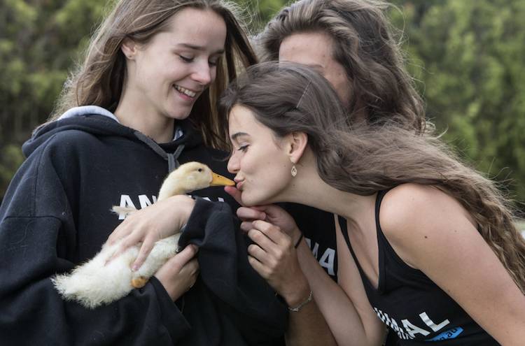 vegan teens