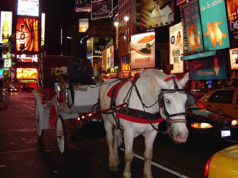 NYC horse drawn carriage