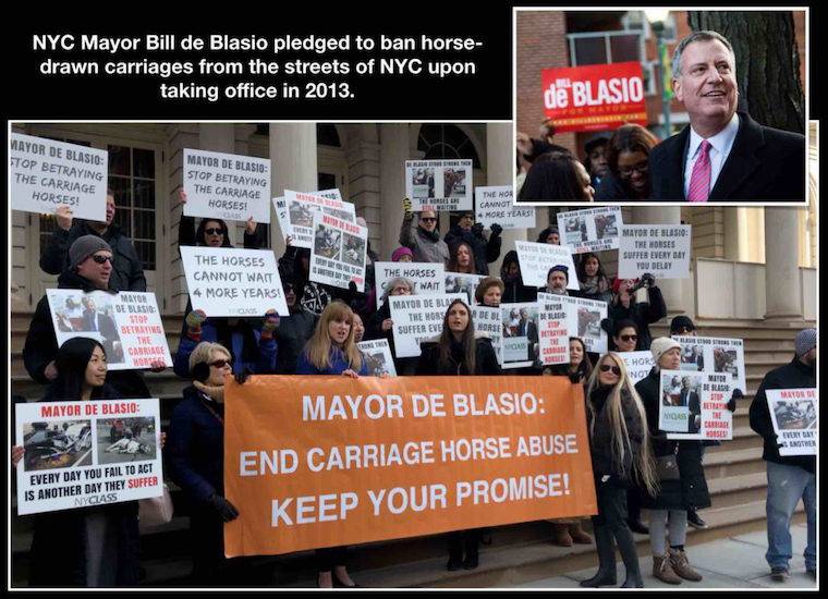 Bill DeBlasio Protest