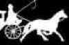 Horse Drawn Carriages