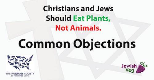 jewish veg