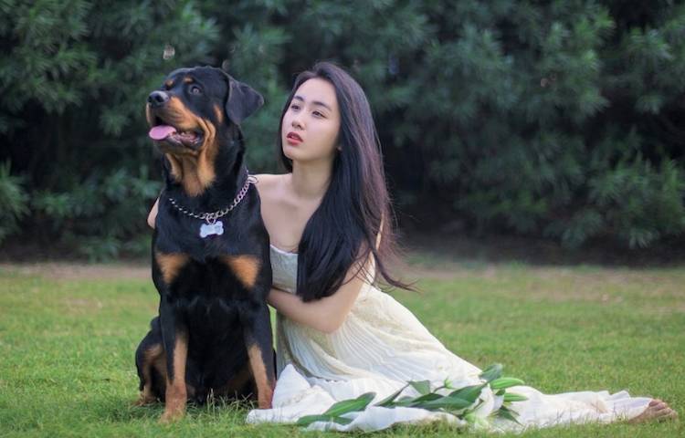 woman and dog
