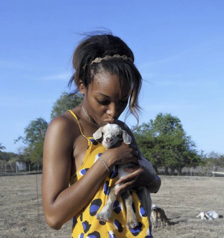 girl and lamb