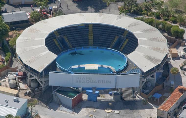 Miami Seaquarium Lolita