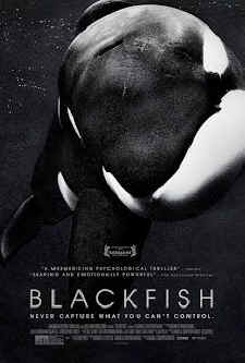 Blackfish sea world Seaworld