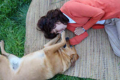 Ahimsa rescued dog