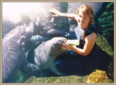 Cynthia Payne Seaworld Blackfish