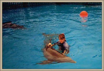 Cynthia Payne Seaworld Blackfish