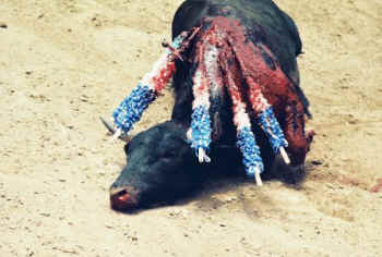 bullfight subsidizing