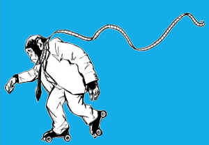 Hollwood animals in entertainment primates