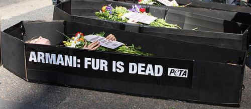 speciesism Mark Devries Armani fur
