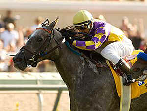 horse racing Monzante