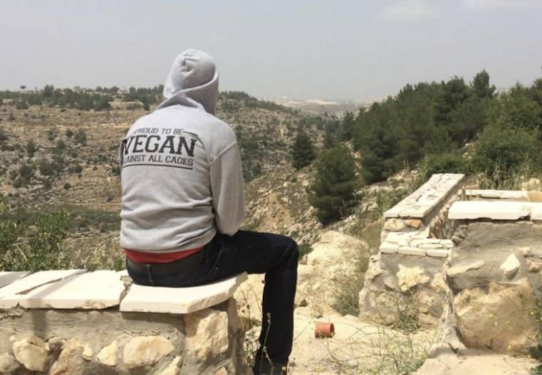 vegan against all cages