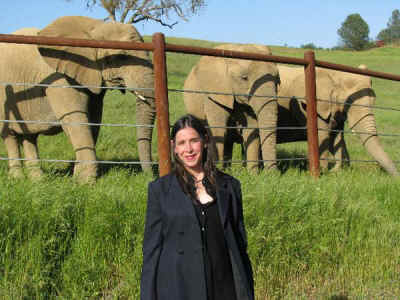 PAWS elephant sanctuary