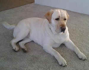 Pasados Cabela killer sentenced