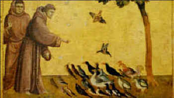 Pope Francis animals