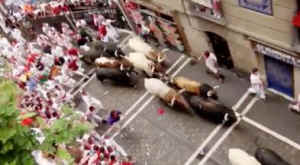 Pamplona bull