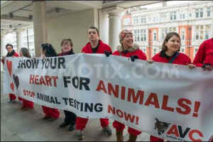 activism extremists