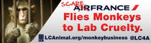Air France monkeys vivisection