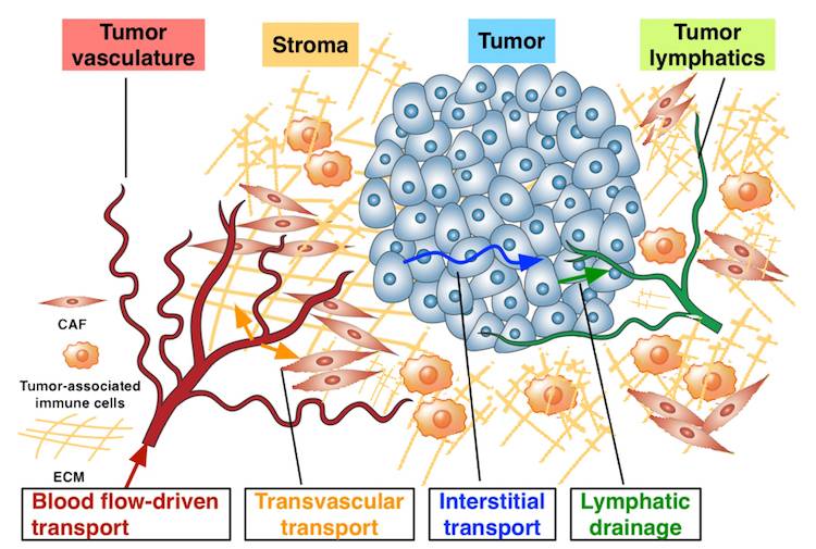 killing tumors