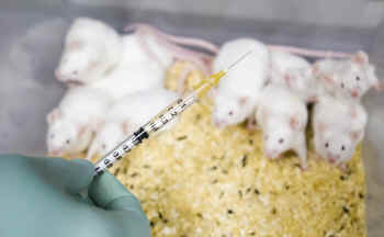 alternative research