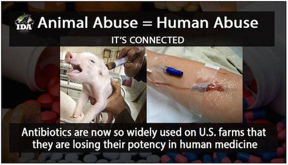abuse links