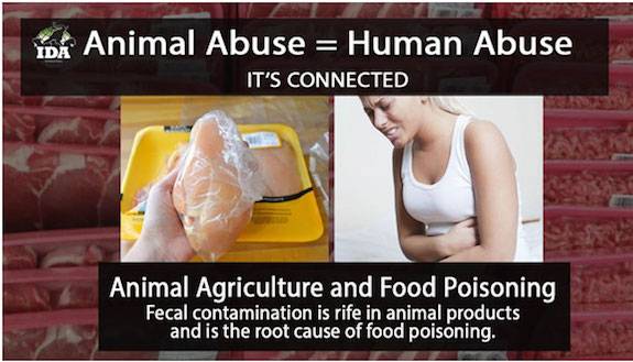 abuse links