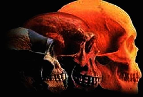 human skulls