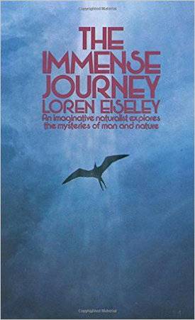 immense journey