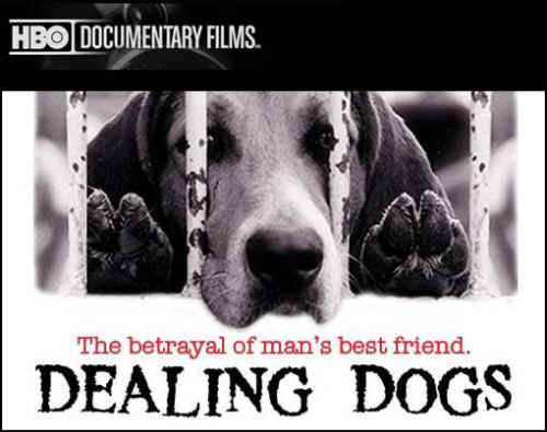 Dealing Dogs