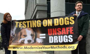 vivisecting beagles