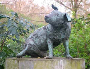 brown dog affair vivisection