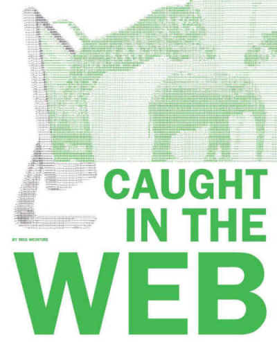 wildlife trafficking