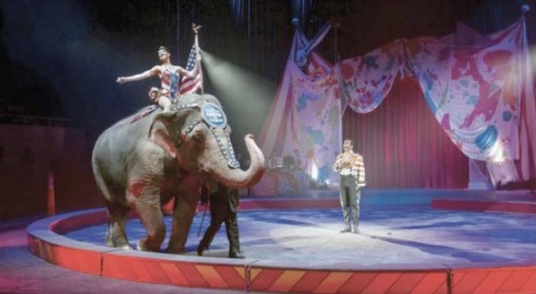 ringling elephant
