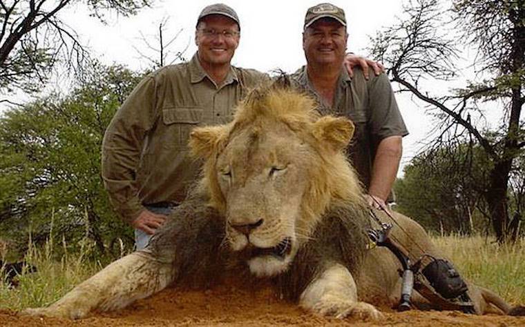 Walter Palmer DDS