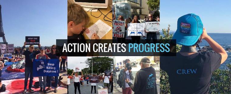 dolphin activists